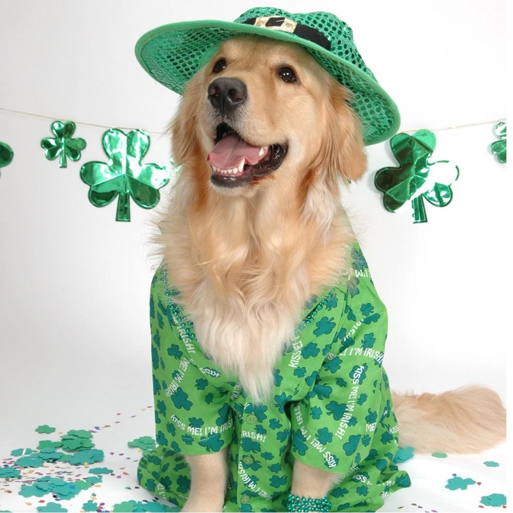 St. Patrick's Day☘️🌱🍀